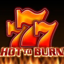 Hot To Burn by Pragmatic Play, showcased at wynsscasino.com – game logo